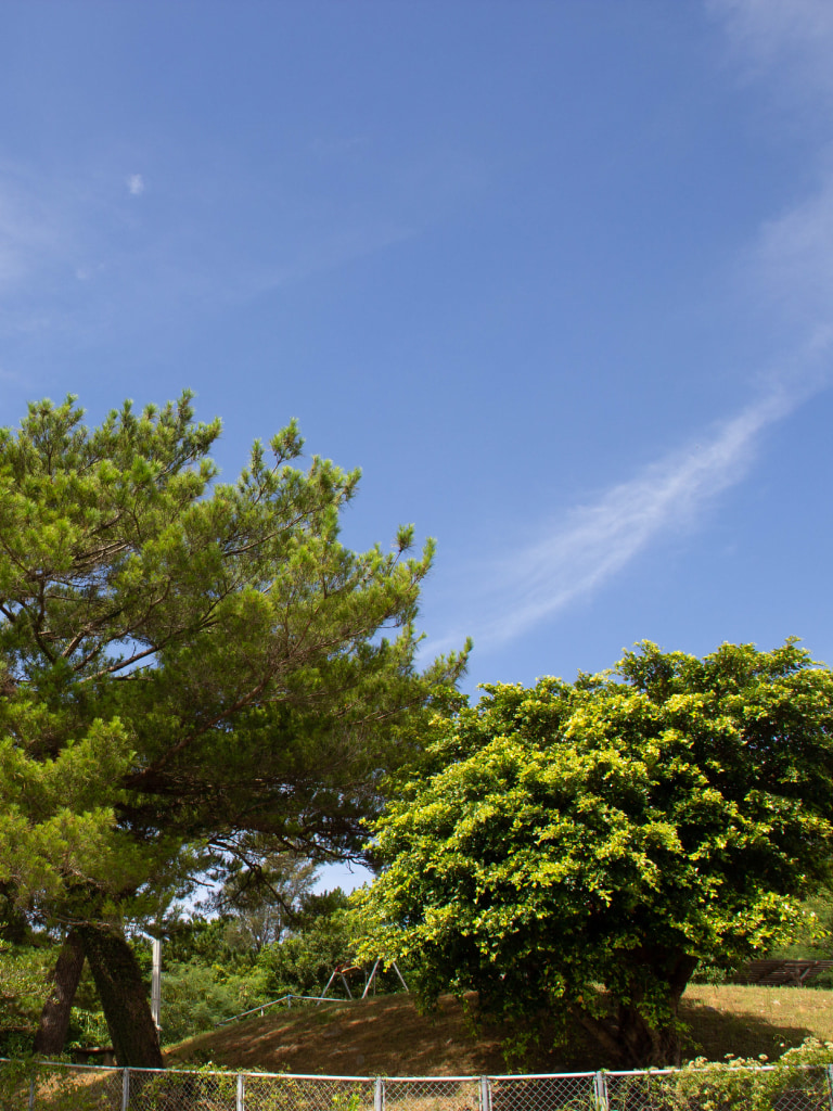 ホープうるまの外にある庭園